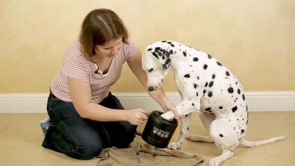umývanie labiek pre psov