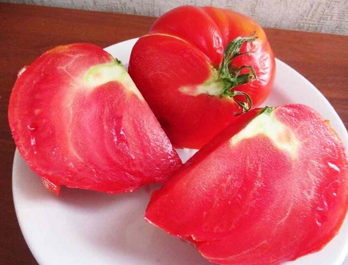 Danko paradajka na tanieri